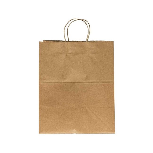 Paper Carry Out Bag with Twist Handle