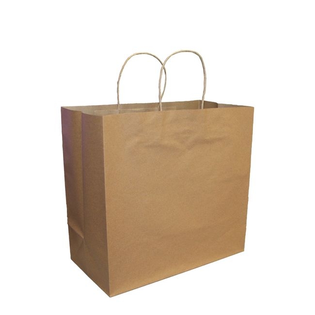 10 x 5 x 13 in Kraft Paper Bag with Handle