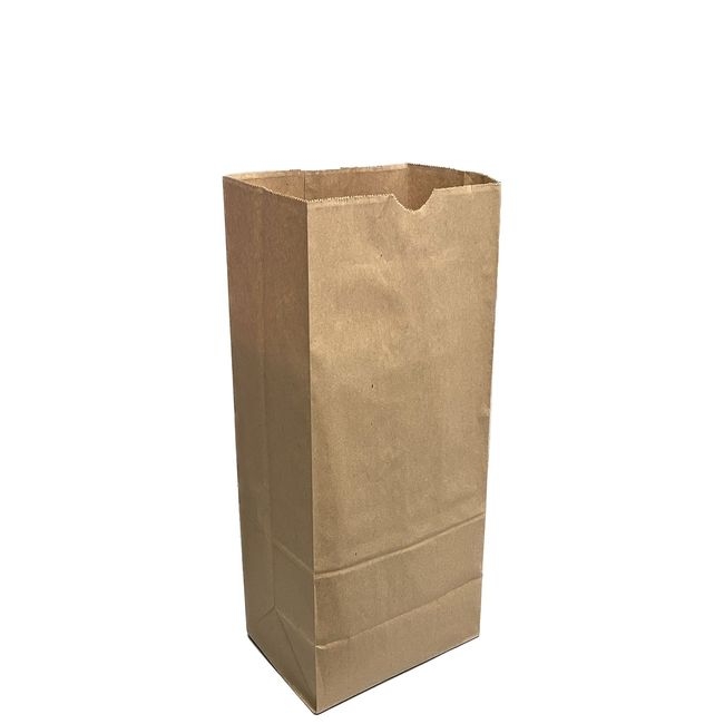 Kraft Paper Grocery Bag