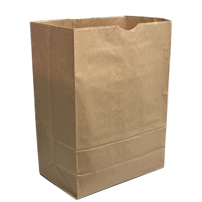Kraft Paper DD60 Grocery Bag