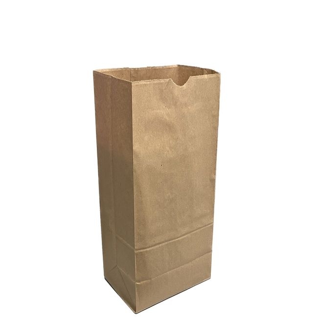 Kraft Paper Grocery Bag