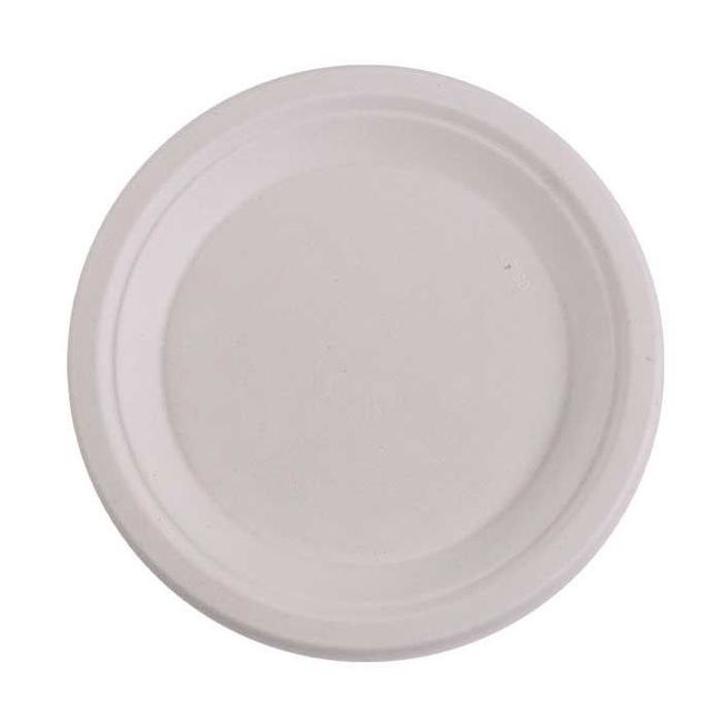 Disposable White Molded Fiber Plate