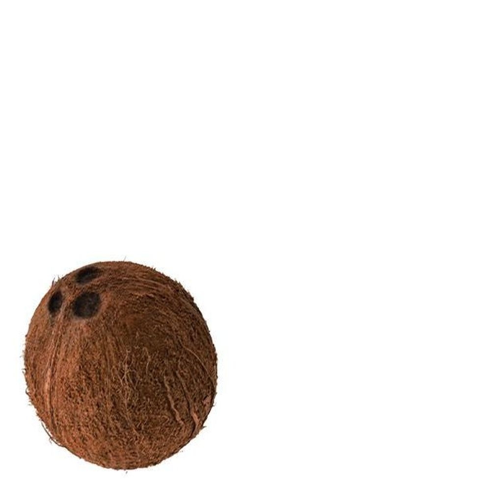 Organic Original Coconut Non-Dairy Beverage