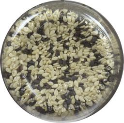 Product thumb gallery 231664782