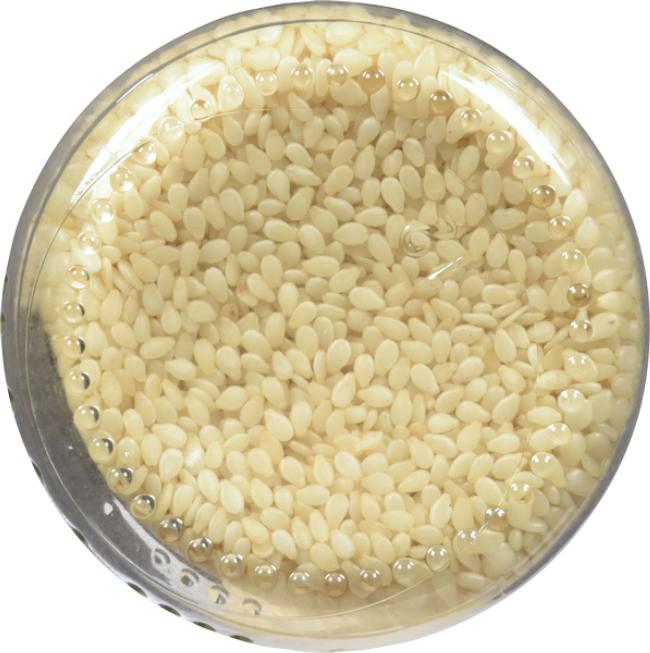 Product gallery 189456804