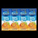 Mango and Apple Exotic Juice Drink