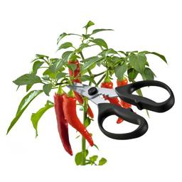 Product thumb gallery 768263041