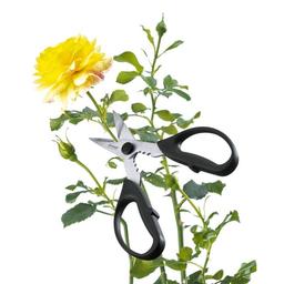 Product thumb gallery 381509113