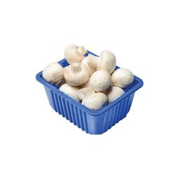 Product thumb gallery 971435649