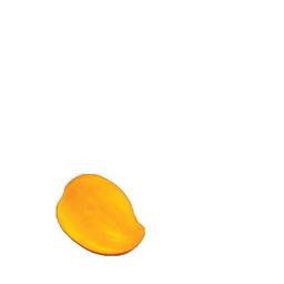 Product thumb gallery 861626259