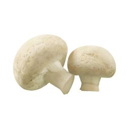 Product thumb gallery 165545057