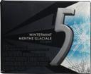 Wintermint Ascent Sugar Free Mint Gum