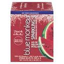 Sparkling Watermelon Juice