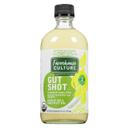 Garlic Dill Gut Shot