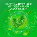 Scope Outlast Long Lasting Mint Mouthwash