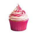 Stainless Steel Icing Tips Set with Crystal Box