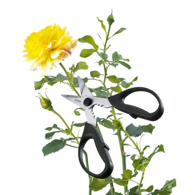 Product gallery 381509113