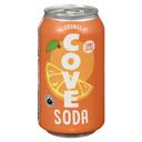 Orange Probiotic Soda for Gut Health