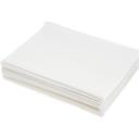 ANEP9315-80 Filter Paper Envelope, 12 1/4 x 17 in
