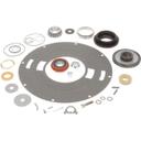 SALKSH123 Bearing and Seal Kit